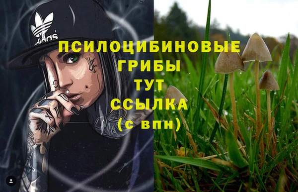 гашишное масло Няндома
