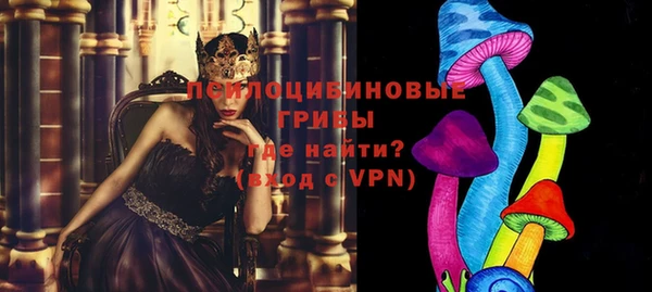крисы Зеленокумск
